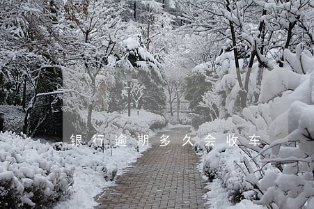 银行逾期多久会收车 银行逾期多久会收车