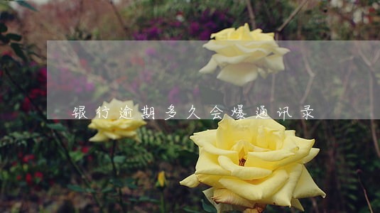 银行逾期多久会爆通讯录 银行逾期多久会爆通讯录