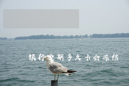 银行逾期多久卡会冻结 银行逾期多久卡会冻结