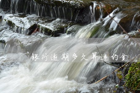 银行逾期多久算违约金 银行逾期多久算违约金