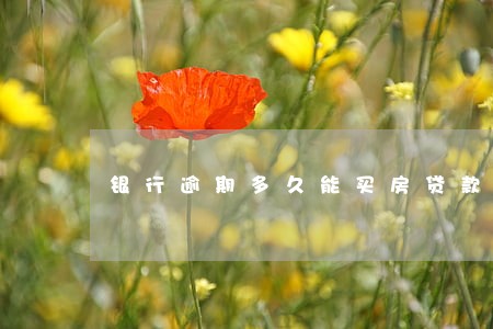 银行逾期多久能买房贷款买房 银行逾期多久能买房贷款买房