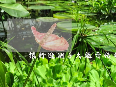 银行逾期多久能开传单 银行逾期多久能开传单
