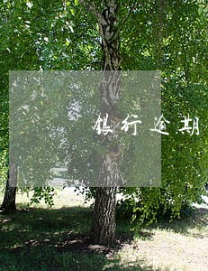 银行逾期多少不能贷款 银行逾期多少不能贷款