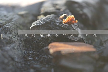 银行逾期多少天是坏账 银行逾期多少天是坏账