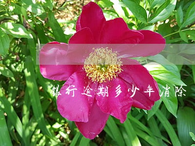 银行逾期多少年消除 银行逾期多少年消除