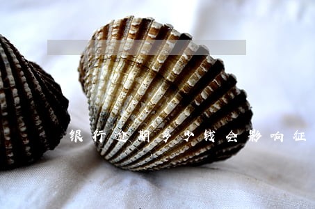 银行逾期多少钱会影响征信 银行逾期多少钱会影响征信