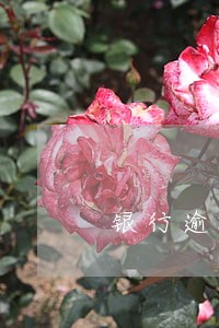 银行逾期如何注销吗 银行逾期如何注销吗