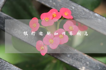 银行逾期如何算利息