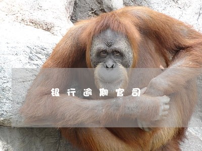 银行逾期官司 银行逾期官司