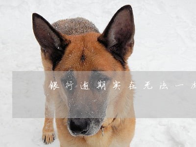 银行逾期实在无法一次性归还 银行逾期实在无法一次性归还