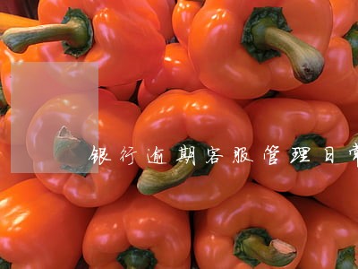 银行逾期客服管理日常