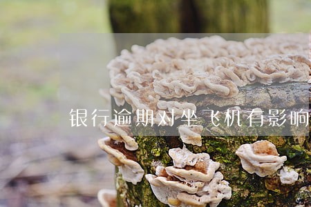 银行逾期对坐飞机有影响吗 银行逾期对坐飞机有影响吗