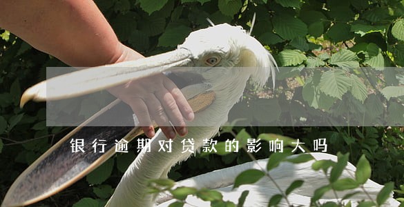 银行逾期对贷款的影响大吗 银行逾期对贷款的影响大吗