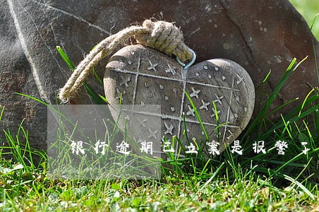 银行逾期已立案是报警了吗 银行逾期已立案是报警了吗