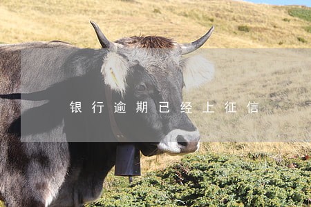 银行逾期已经上征信 银行逾期已经上征信