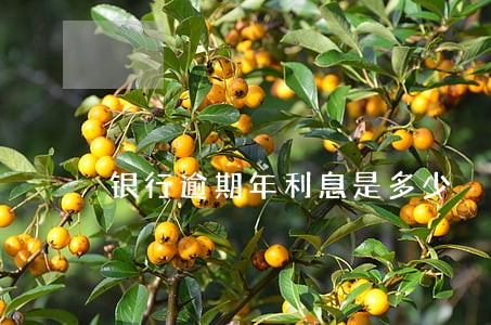 银行逾期年利息是多少 银行逾期年利息是多少