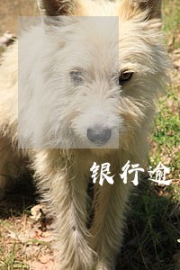 银行逾期影不影响开对公账户 银行逾期影不影响开对公账户