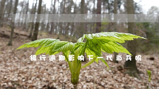 银行逾期影响下一代当兵吗 银行逾期影响下一代当兵吗