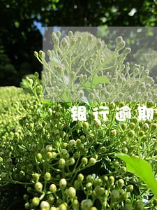 银行逾期影响座高铁吗 银行逾期影响座高铁吗