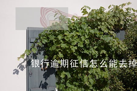 银行逾期征信怎么能去掉 银行逾期征信怎么能去掉