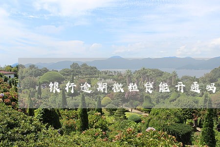 银行逾期微粒贷能开通吗 银行逾期微粒贷能开通吗