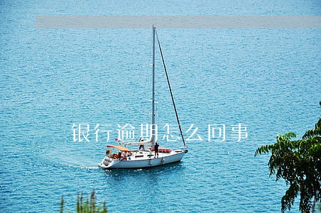 银行逾期怎么回事 银行逾期怎么回事