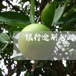 银行逾期怎么快速解决 银行逾期怎么快速解决