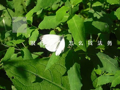 银行逾期怎么找法务 银行逾期怎么找法务