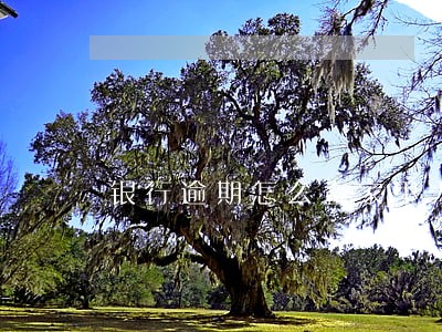 银行逾期怎么查家里人电话的 银行逾期怎么查家里人电话的