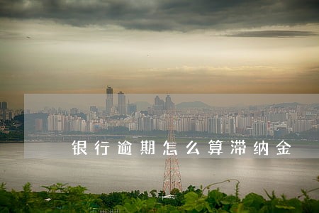 银行逾期怎么算滞纳金