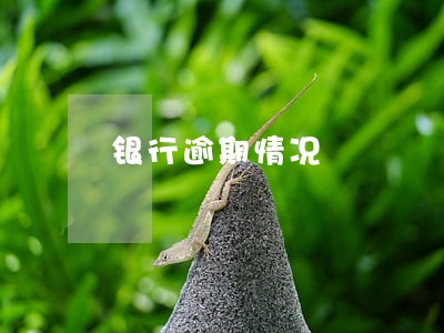 银行逾期情况 银行逾期情况