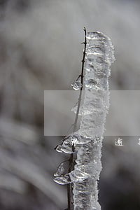 银行逾期成黑名单几年消除