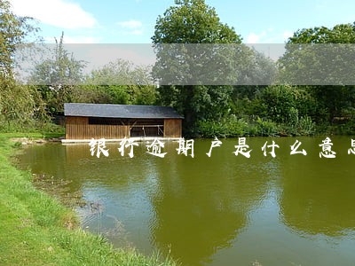银行逾期户是什么意思 银行逾期户是什么意思