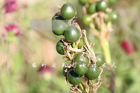 银行逾期打电话家人 银行逾期打电话家人