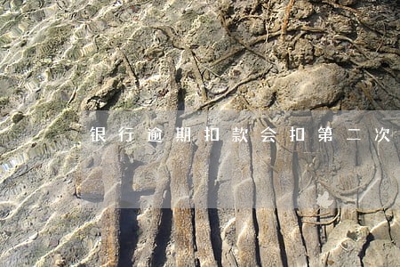 银行逾期扣款会扣第二次吗 银行逾期扣款会扣第二次吗