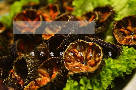 银行逾期扣款怎么算 银行逾期扣款怎么算