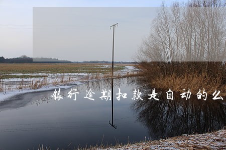 银行逾期扣款是自动的么 银行逾期扣款是自动的么