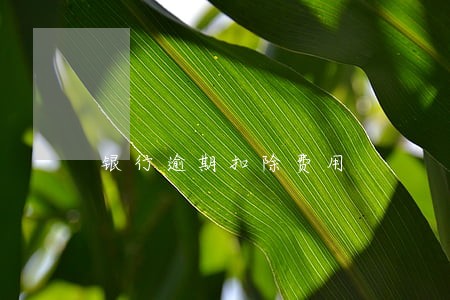 银行逾期扣除费用