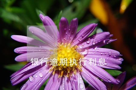 银行逾期执行利息 银行逾期执行利息