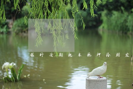 银行逾期把车抵押给朋友 银行逾期把车抵押给朋友