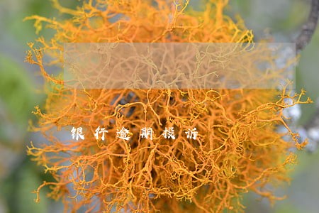 银行逾期投诉 银行逾期投诉