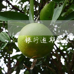 银行逾期报表