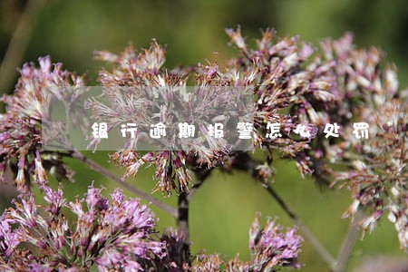银行逾期报警怎么处罚 银行逾期报警怎么处罚