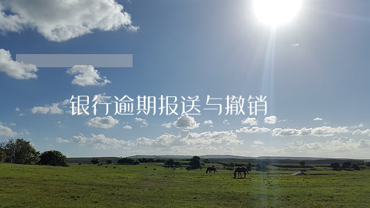 银行逾期报送与撤销 银行逾期报送与撤销