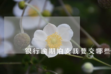 银行逾期拍卖我要交哪些费用 银行逾期拍卖我要交哪些费用