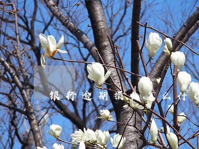银行逾期损失怎么计提 银行逾期损失怎么计提