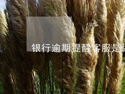 银行逾期提醒客服是做什么的 银行逾期提醒客服是做什么的