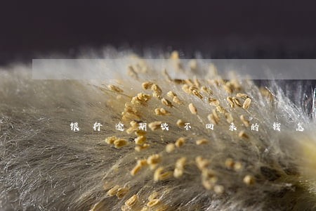 银行逾期收不回来的钱怎么处理 银行逾期收不回来的钱怎么处理