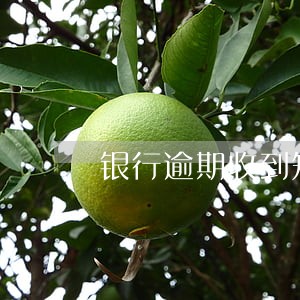 银行逾期收到短信是什么意思 银行逾期收到短信是什么意思
