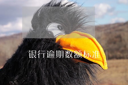 银行逾期数额标准 银行逾期数额标准